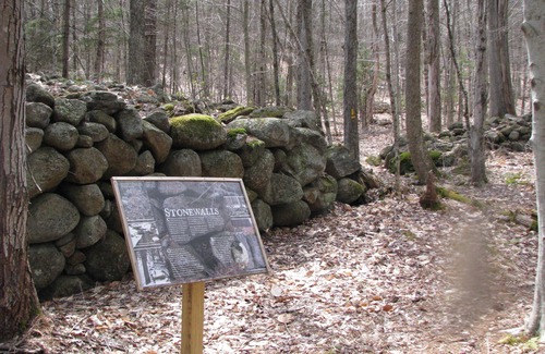 Stoddard Other | Quiet, relaxing site on 200 acres in New Hampshire.