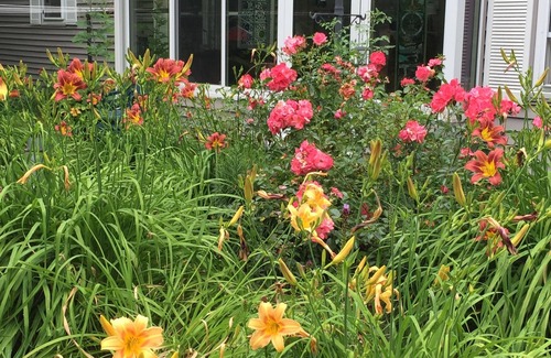 Goffstown House | Quiet restful nights. Two bedroom. 1bath