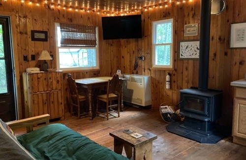Mio Cabin | Quiet, Simple, and Surrounded by Trees Au Sable Backwaters Mio
