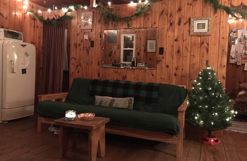 Mio Cabin | Quiet, Simple, and Surrounded by Trees Au Sable Backwaters Mio