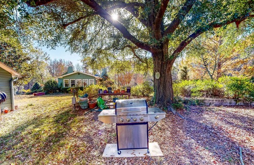 Fort Valley Cabin | Quiet studio backed by woods, large dog-friendly yard