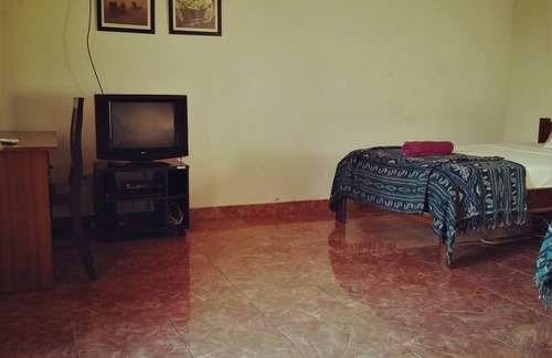 Tukad Mungga Bed & Breakfast | Quiet Twin Room Overlooking the Ricefields located in Lovina on the North Coast