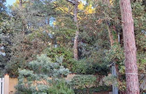 Domino House | Quiet vacation home on the edge of the national forest, 600m from the sea