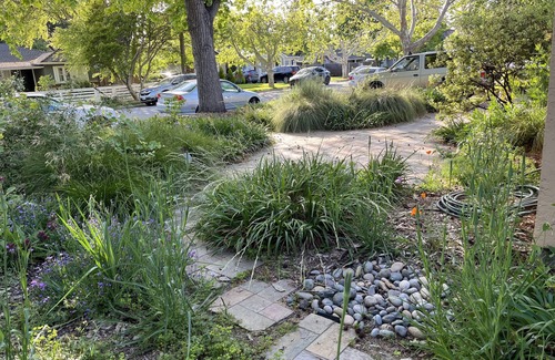 Willow Glen Apartment | Quiet Willow Glen studio. 15 minute walk to to grocery and restaurants