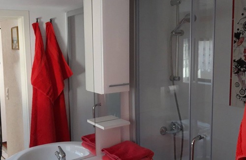 Born auf dem Darss House | Quietly located bungalow near the kite and surf spot Born - Sonnenblume