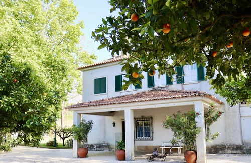 Carvalhal Benfeito Villa | Quinta da Barreira - Exceptional Villa set within a beautiful vineyard