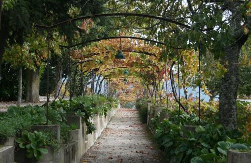 Cumieira House | Quinta da Cumieira