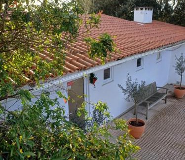 Alcobaca Bed & Breakfast | Quinta da pêra rocha