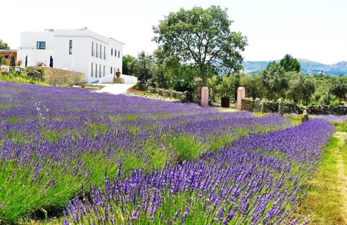 Santa Maria da Devesa House | Quinta das Lavandas