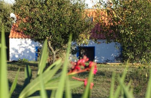 Cercal House | QUINTA DAS TEIMOSAS by Stay in Alentejo