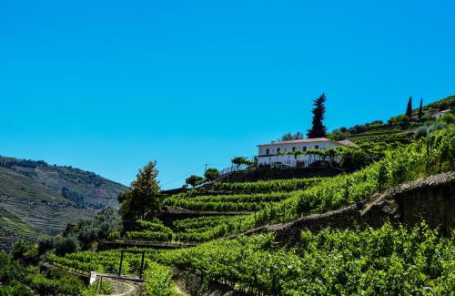 Bomfim House | Quinta de la Rosa