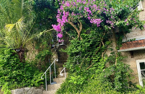 Vila Cha do Marao House | QUINTA DE RIBAS - Les Bougainvilliers charming house for families or groups