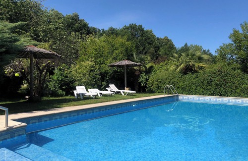 Vila Cha do Marao House | QUINTA DE RIBAS - LES OLIVIERS - QUIET GITE SURROUNDED BY GREENERY