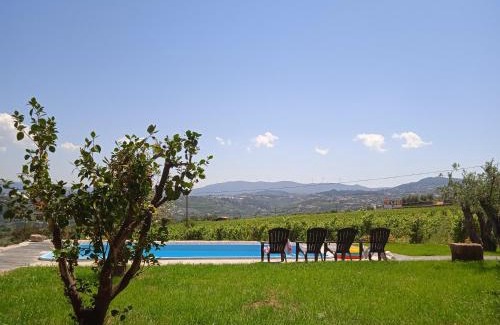 Lamego House | Quinta do Passadiço
