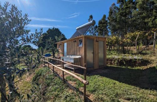 Serta Other | Quinta Lima