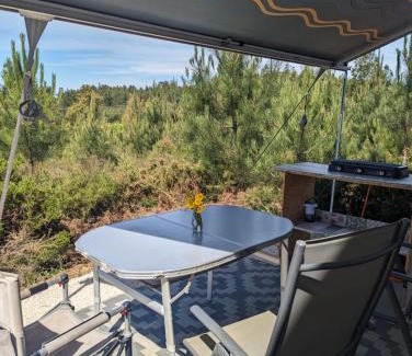 Serta Other | Quinta Lima