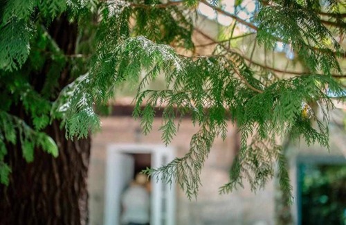 Torrao House | Quinta Vale de Frades - Rest and Tranquility