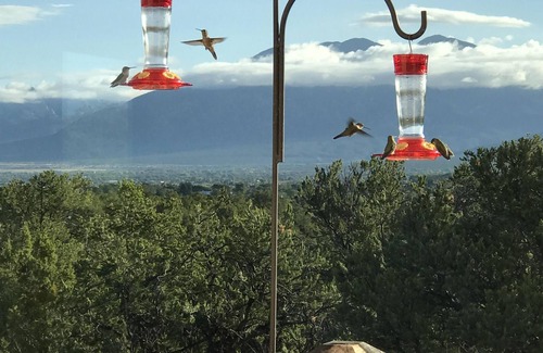 Taos House | Quit & Private nestled in a Pinion and Juniper forest. Monthly rentals only.