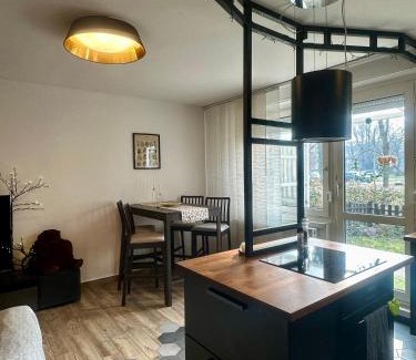 Romaifurdo Apartment | Római Terrace Apt