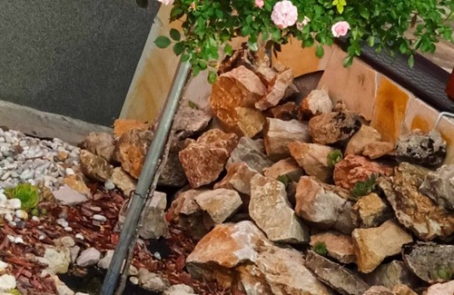 Zirc Apartment | Rózsavendégház a Bakony -szívében!