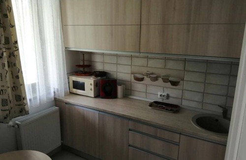 Sinaia Apartment | RAI Apartament with Mountain View