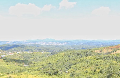 Da Lat Apartment | Rainbow Homestay Cầu Đất