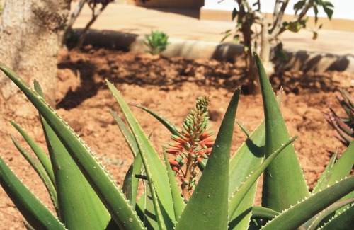 Santa Eulalia del Rio House | Rainer House