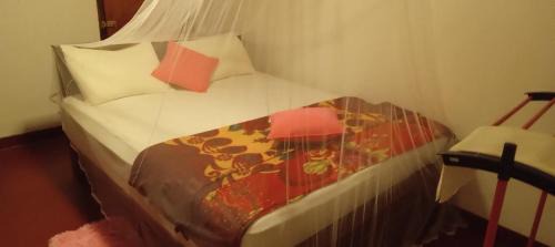 Kotapola Hotel | Rainforest Holiday Inn