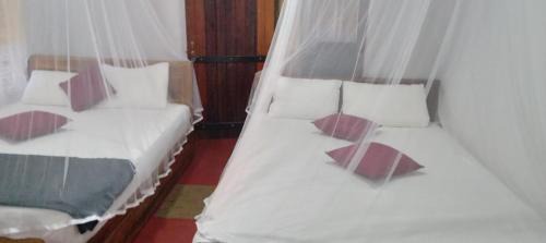 Kotapola Hotel | Rainforest Holiday Inn