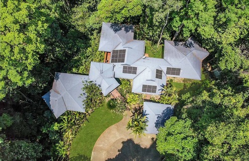 Edmonton House | Rainforest Relaxation.