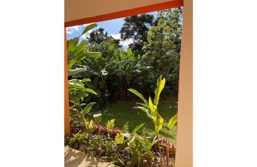 Guzman Arriba Apartment | Rainforest Retreat between mountains and sea