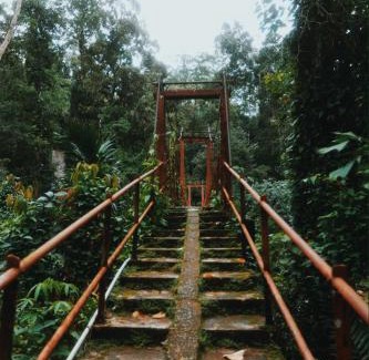 Kotapola Hostel | Rainforest View Hostal And Rainforest Tours
