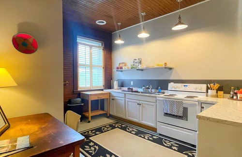 Canaan Valley Apartment | Rambling Rose A Boho 2 BR Apt in the ❤️ of Davis