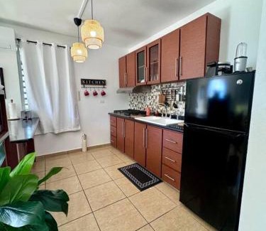 Maleza Baja Apartment | Ramey Loft 2