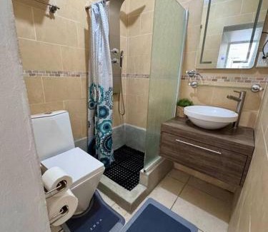 Maleza Baja Apartment | Ramey Loft 2