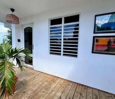 Maleza Baja Apartment | Ramey Loft 2