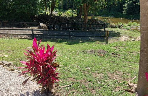 Orocovis RV Rental | "Rancho Mariposa" (camping area only) Butterfly Ranch
