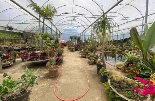 Mirantao House | Rancho Vale das Flores - Cabana de Montanha