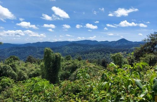 Kiamuturi Cabin | Ranges View Lodge - Aberdare Safari in Murang'a