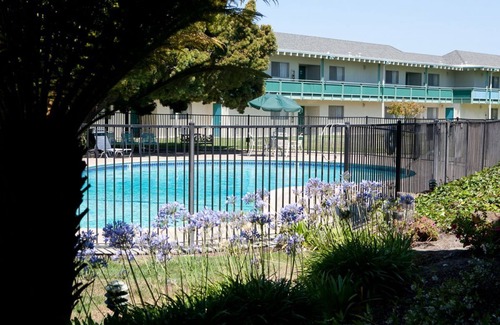 East End Apartment | Rare Find! Awesome Unit, Free Parking, Pool, Near Alameda Ferry Terminal!