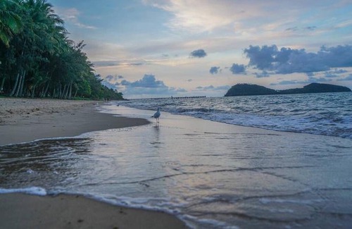 Palm Cove Apartment | Rare! Modern Unit W/ Private Fenced Garden Close To The Beach Pc3