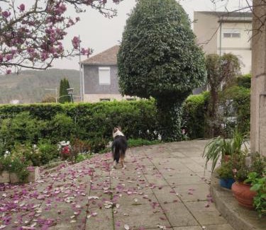 Tarouca Bed & Breakfast | Real Santo António Guest House