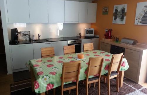 Realp Apartment | Realp-Andermatt 3,5 locali giardino privato In mezzo la natura, spettacolare per appassionati montanbike, pesca ecc In inverno fai sci di fondo dal giardino e con il treno davanti a casa si raggiunge in 5min il comprensorio scistico di Andermatt