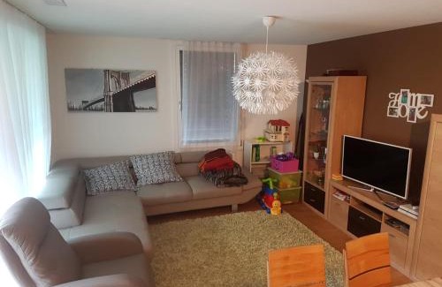 Realp Apartment | Realp-Andermatt 3,5 locali giardino privato In mezzo la natura, spettacolare per appassionati montanbike, pesca ecc In inverno fai sci di fondo dal giardino e con il treno davanti a casa si raggiunge in 5min il comprensorio scistico di Andermatt