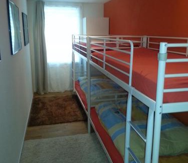 Realp Apartment | Realp-Andermatt 3,5 locali giardino privato In mezzo la natura, spettacolare per appassionati montanbike, pesca ecc In inverno fai sci di fondo dal giardino e con il treno davanti a casa si raggiunge in 5min il comprensorio scistico di Andermatt