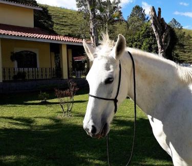 Pindamonhangaba House | Recanto do Ribeirão