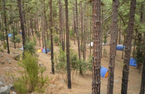 San Miguel de Abona Other | recore y acampa discovery tenerife