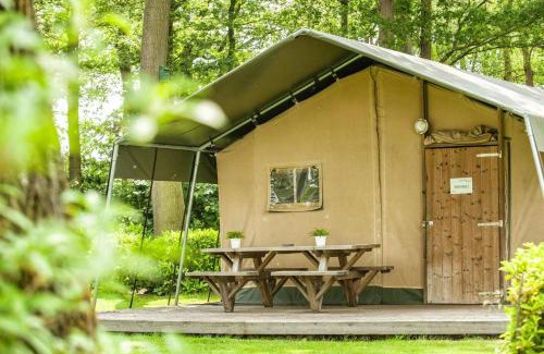 Neede Other | Recreatiepark Den Blanken