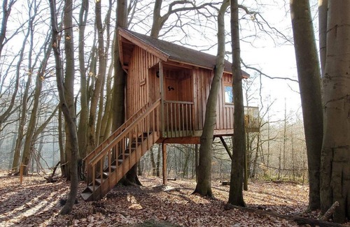 Solling Apartment | Red fir tree tent - Baumhaushotel Solling