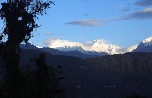 Geyzing Resort | Red Panda Jungle Camp - A Unit of Davinchi Homes Pvt Ltd